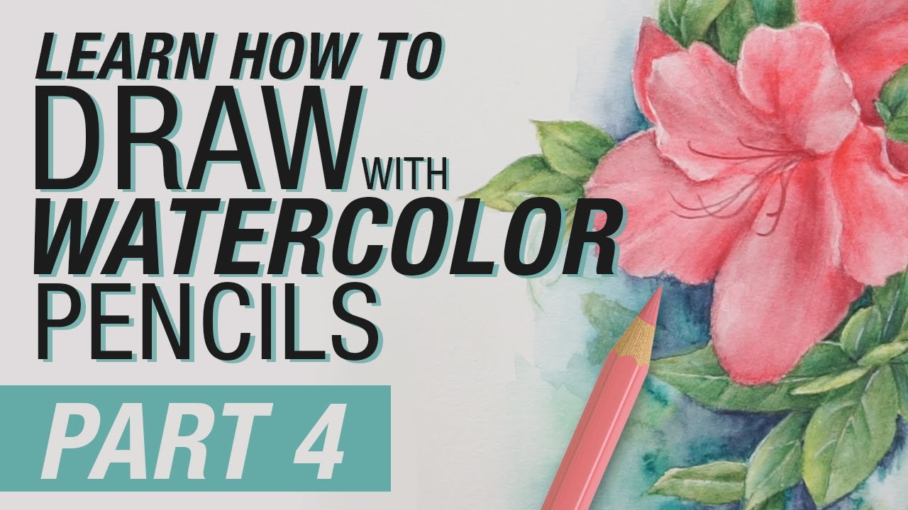 Learn How to Draw with Watercolor Pencils - Part 4