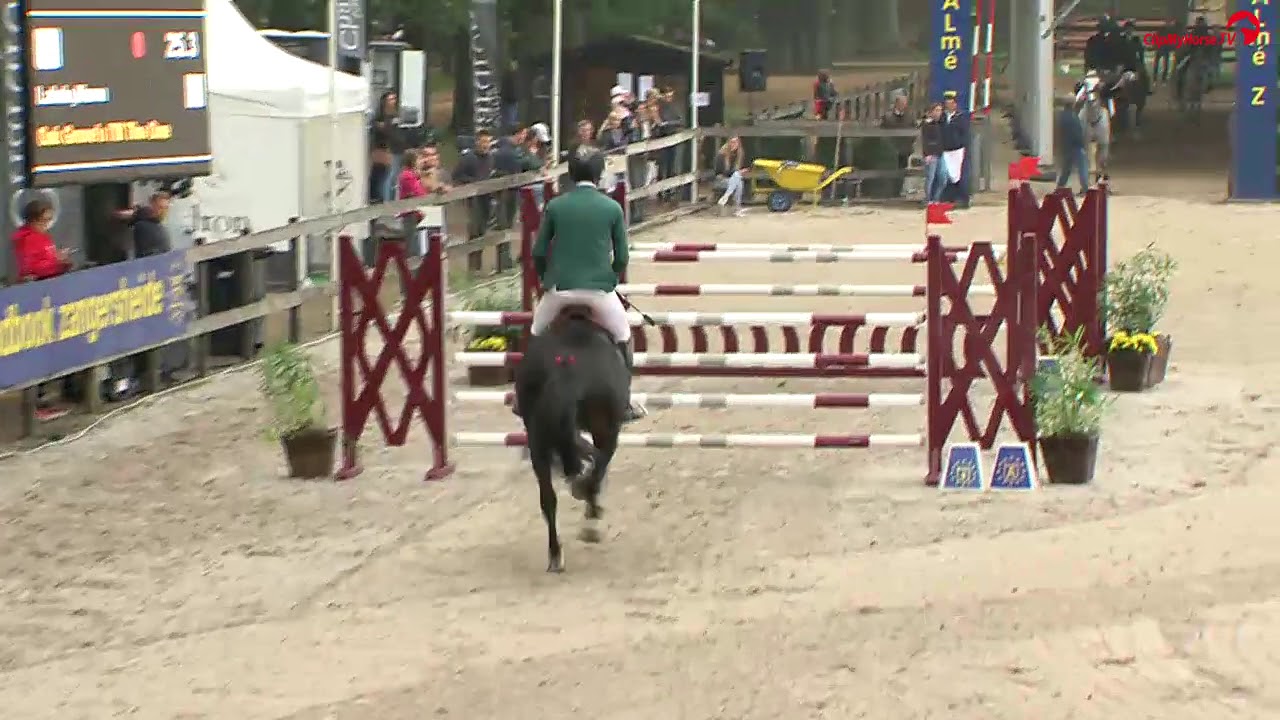 Zangersheide - FEI World Breeding Jumping Championships for Young Horses -1