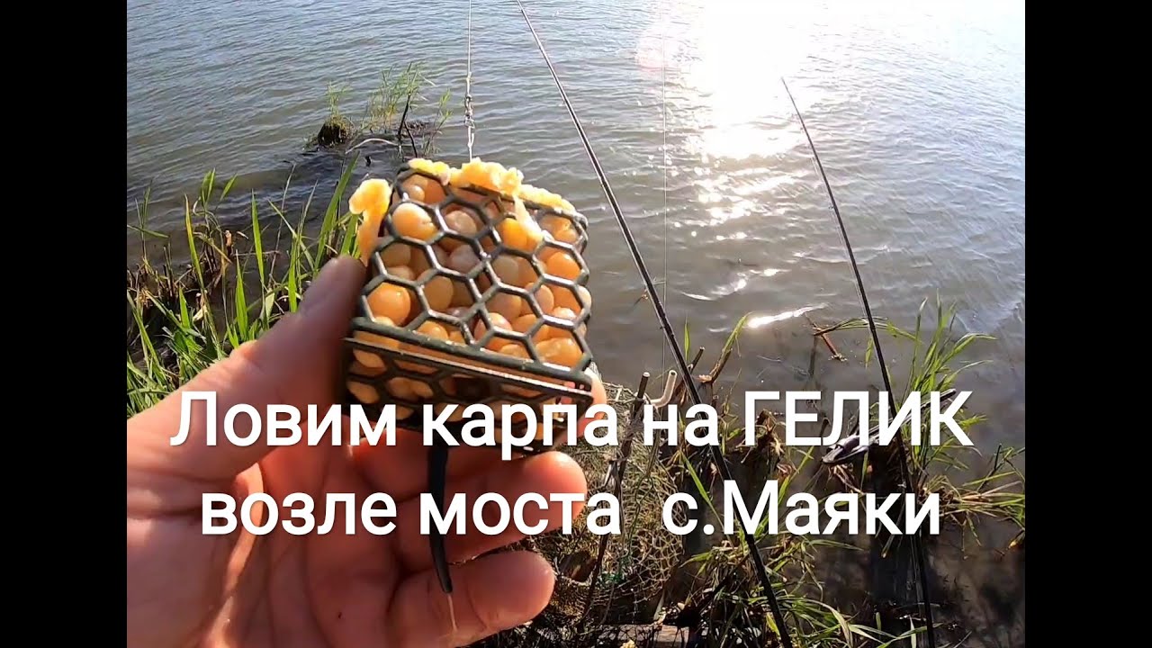 Ловим карпа на ГЕЛИК возле моста в Маяках