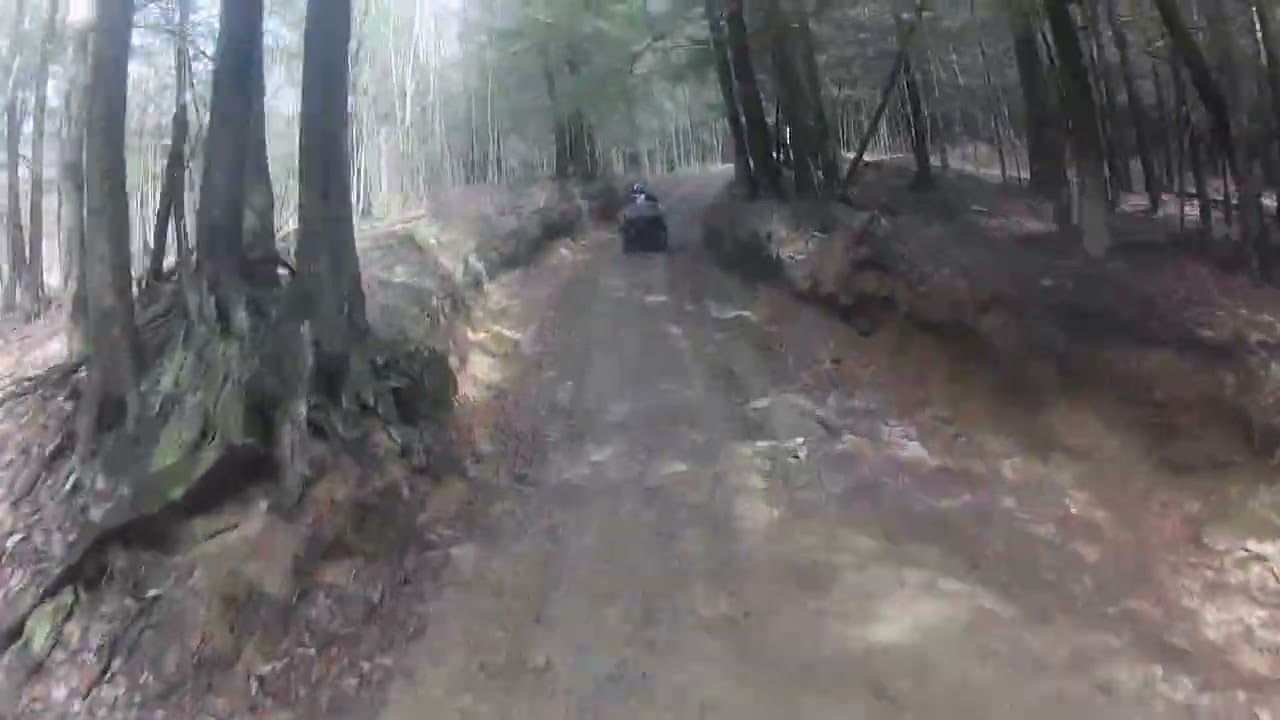 Raptor 700 and Brute Force 750 #5