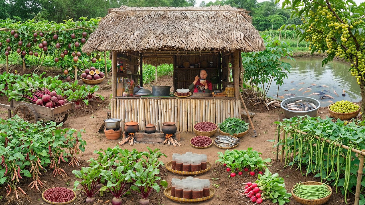 Harvest: Beetroot, Red Beans, Passion Fruit, Edible Leaves, Fish To Sell At The Market And Cook,Farm