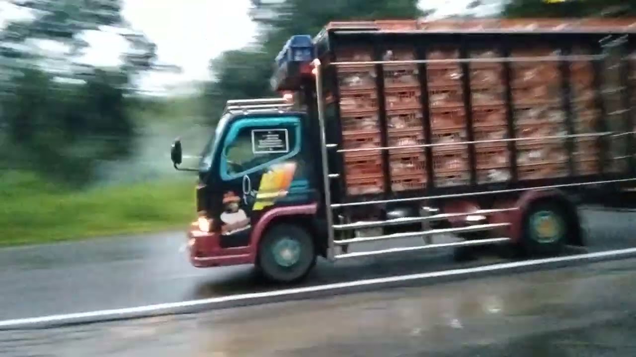 Kereta api disusul Bus mbois vs truck cabai bersaing gas pool ditikungan tajam lahor 