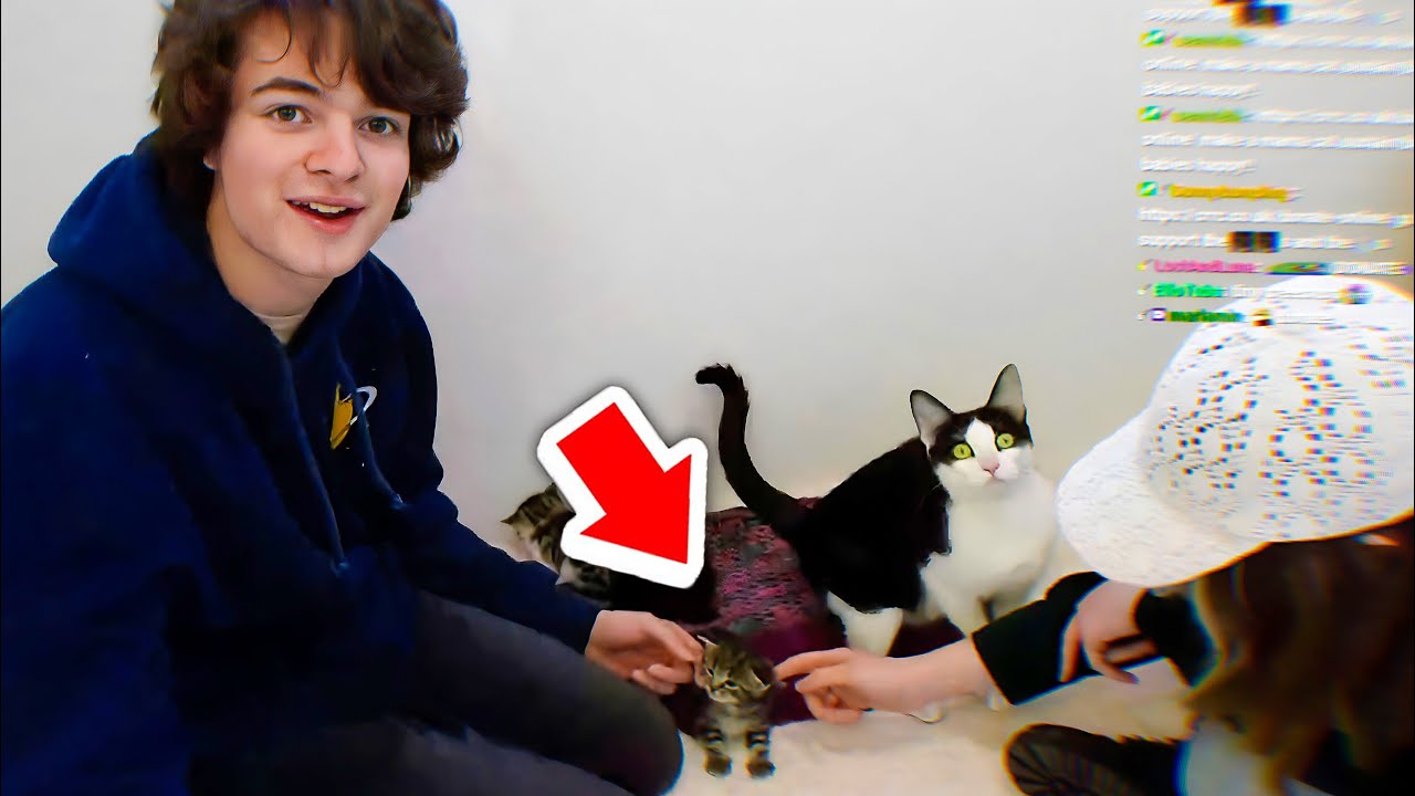 The Most Adorable Tubbo and Kitties Encounter!