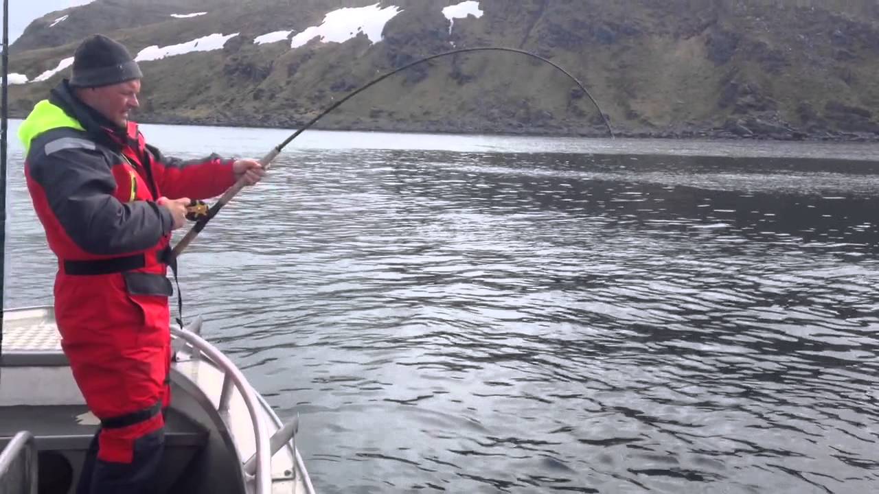 Norway guide Fishing havøysund