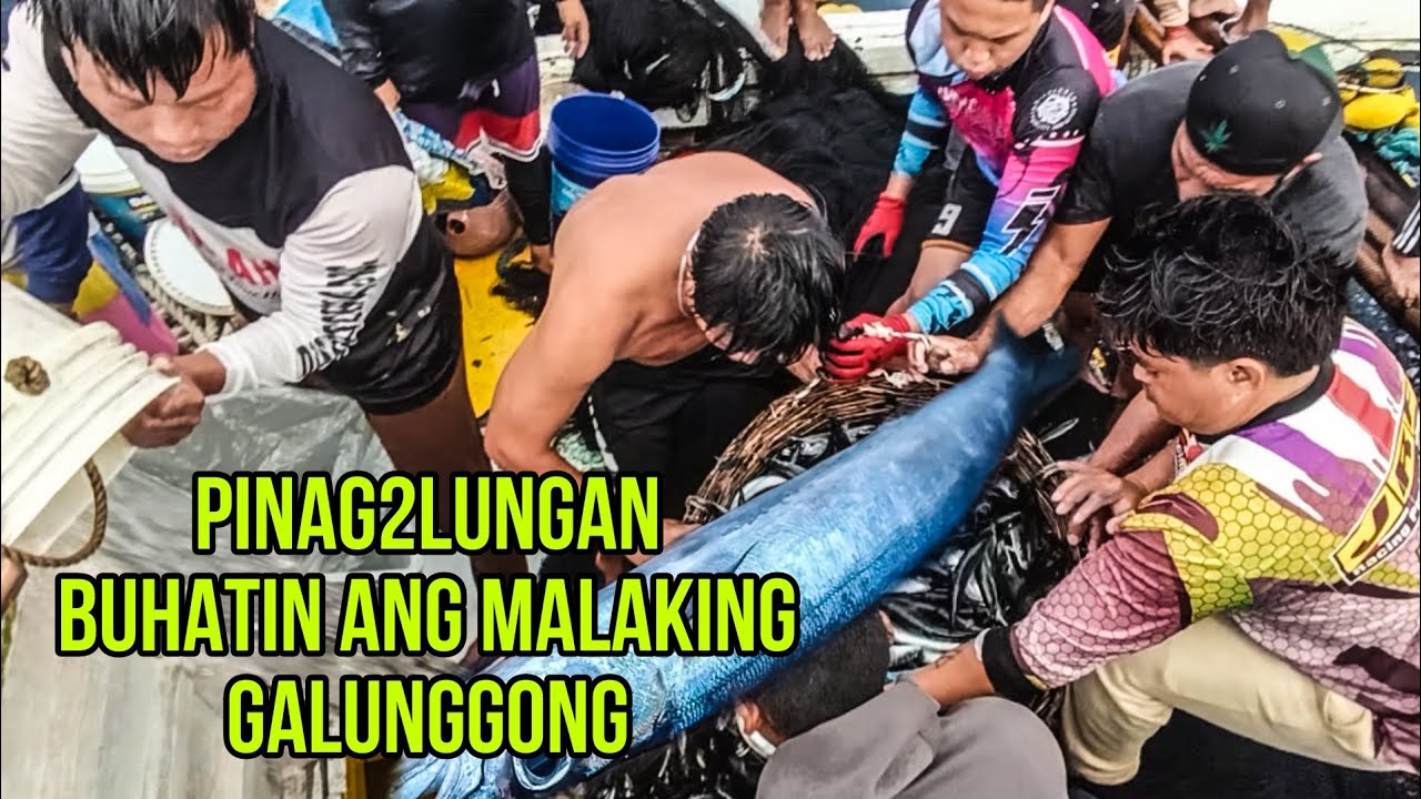 Philippines sea: NAGKAGULO NANAMAN SILA SA MALALAKING GALUNGGONG 