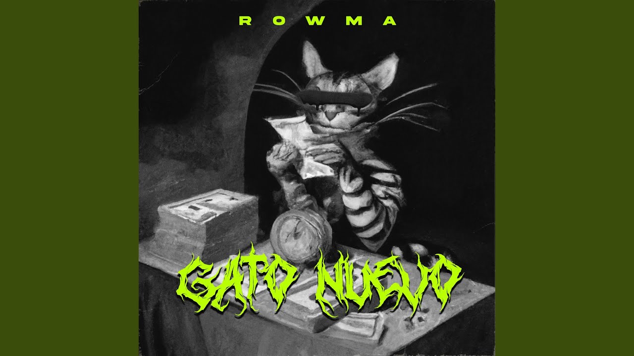 Gato Nuevo