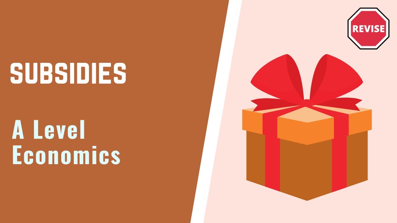 A Level Economics - Subsidies