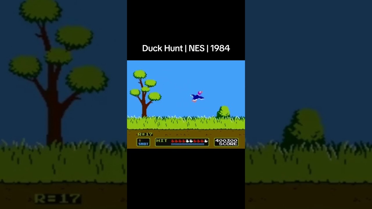 #gaming #retrogaming #gameshorts #games #duckhuntergaming