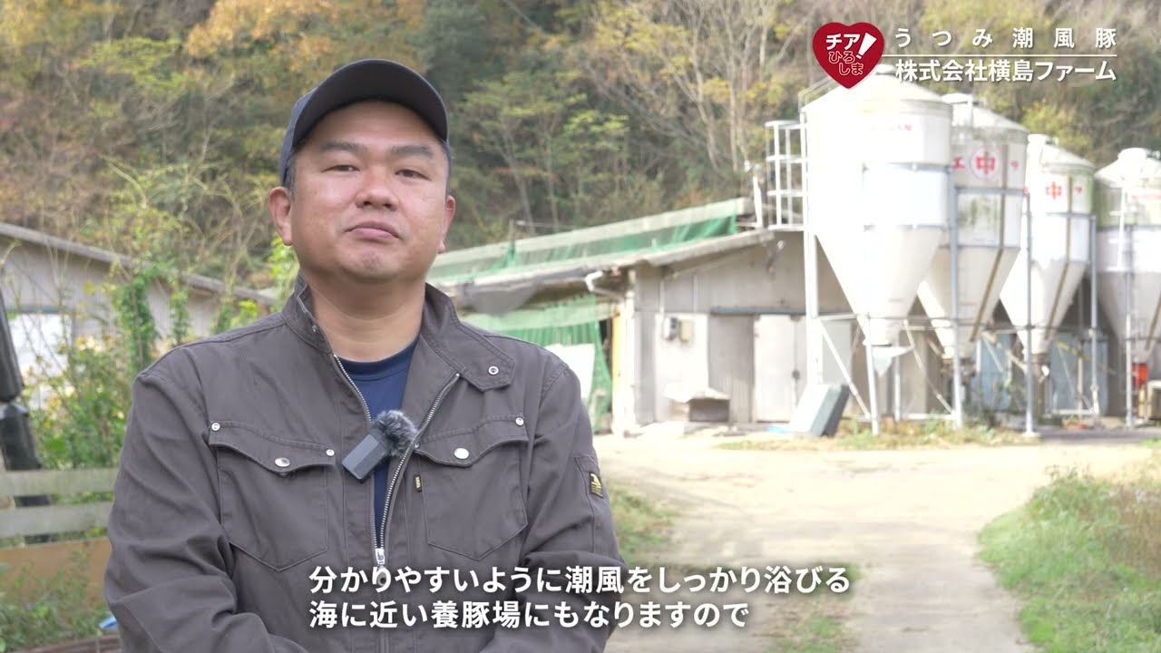 生産者の声　商品名：うつみ潮風豚　生産者：株式会社横島ファーム（チアひろしま　広島県産応援登録制度）