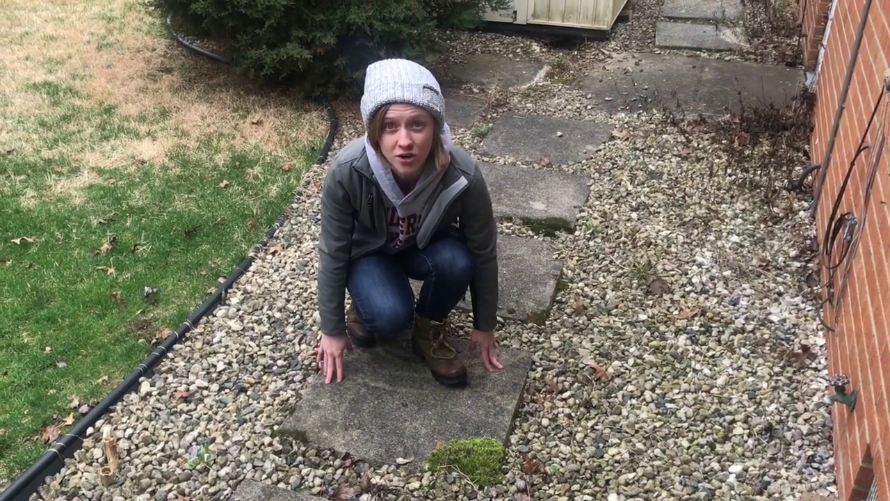 Dr. Butler Walks Around Her Yard & Talks About Plants - Episode #1