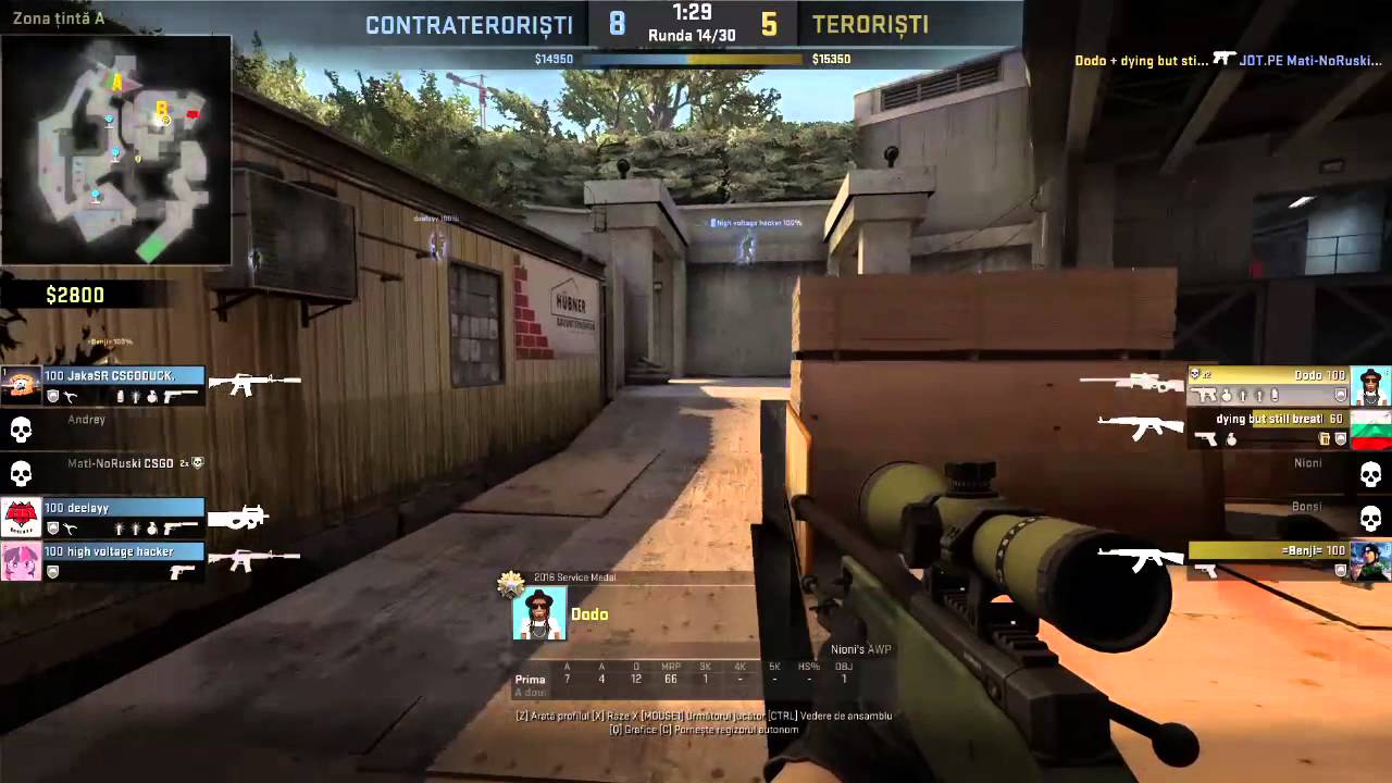 Dodo awp on overpass