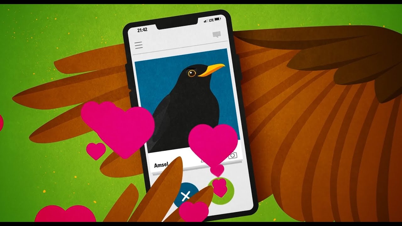 Digiseum: sexuelle Selektion