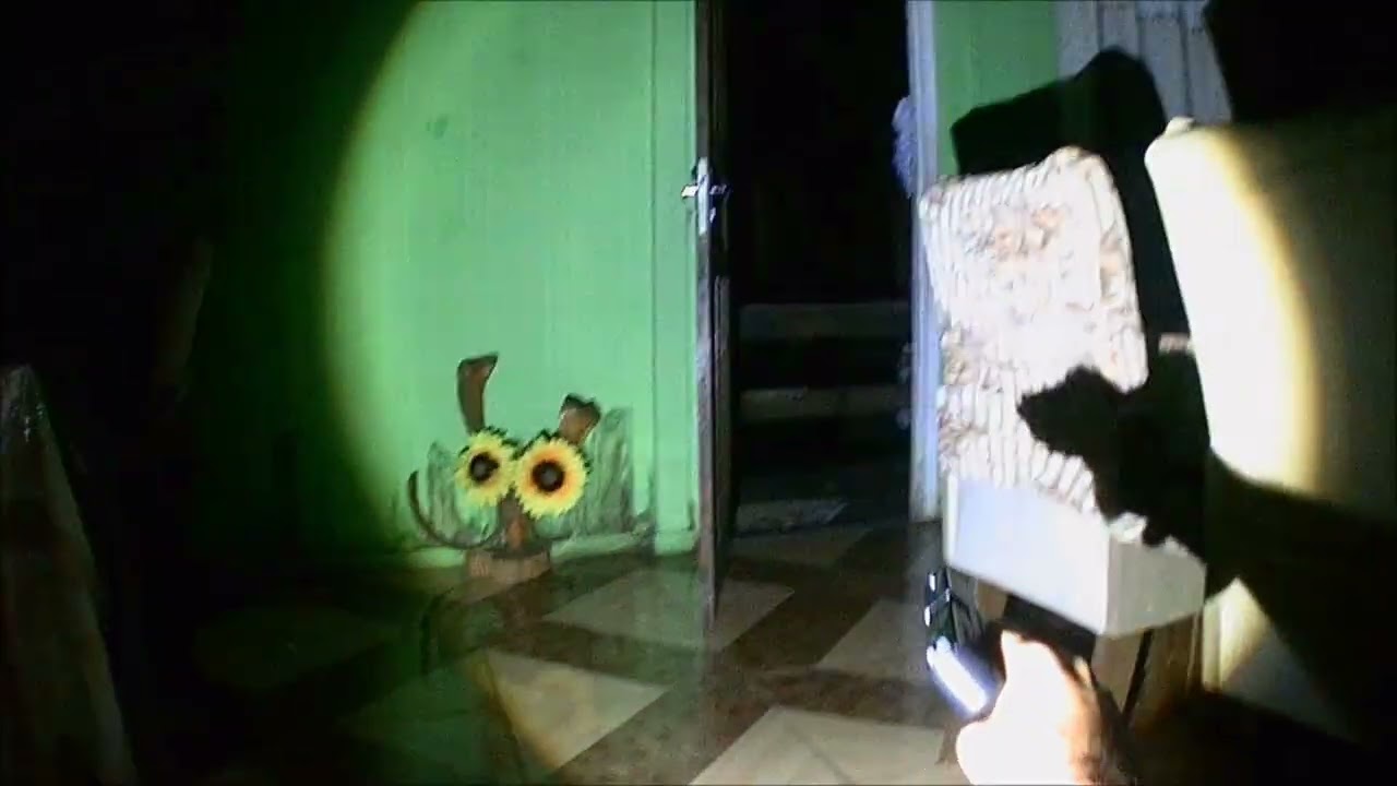 NAO FUI EU QUEBREI A PORTA ABRIU SOZNHA NA FRENTE QUE ABRIU  NAO TA VENTANDO