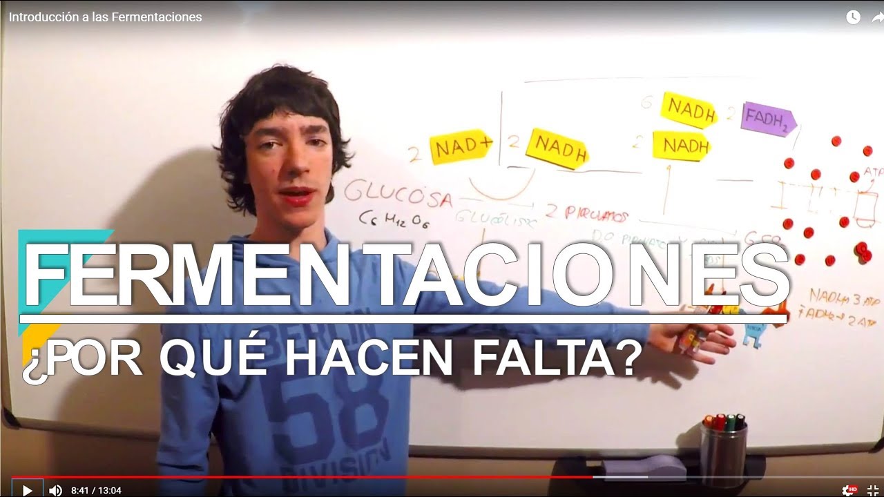 Introducci&oacute;n a las Fermentaciones