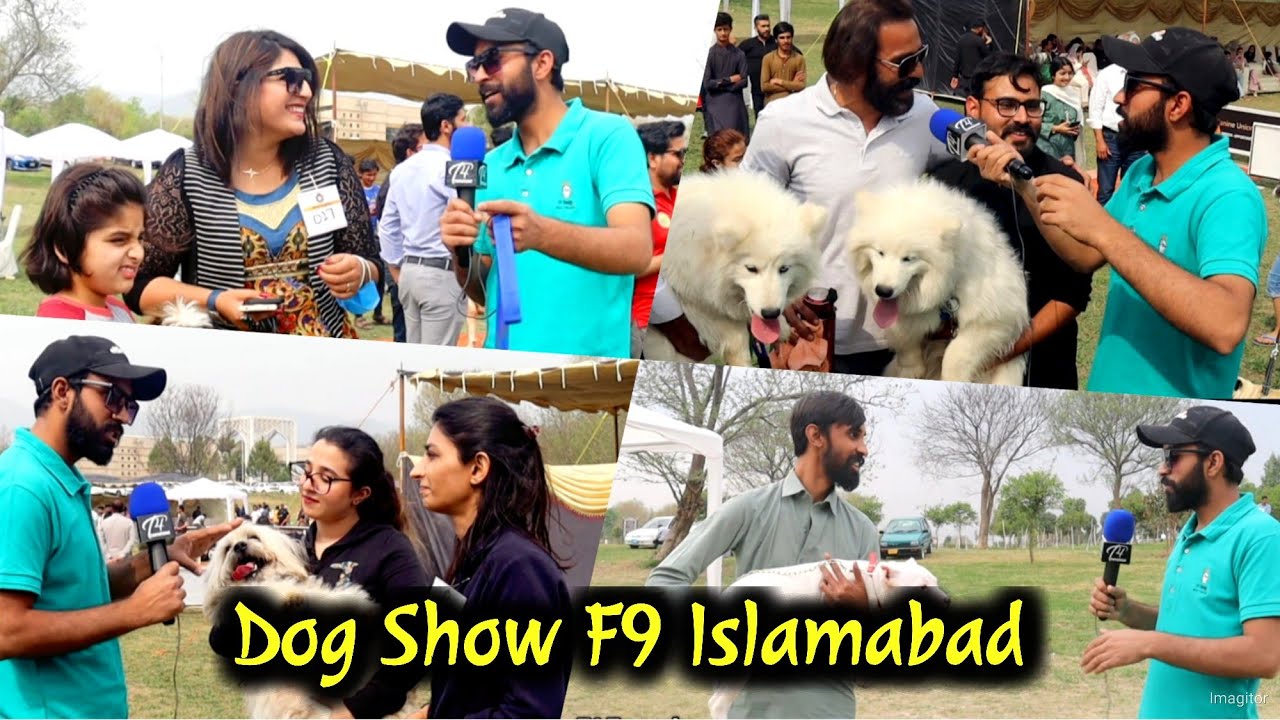 Today Biggest Dog show in F9 Park Islamabad