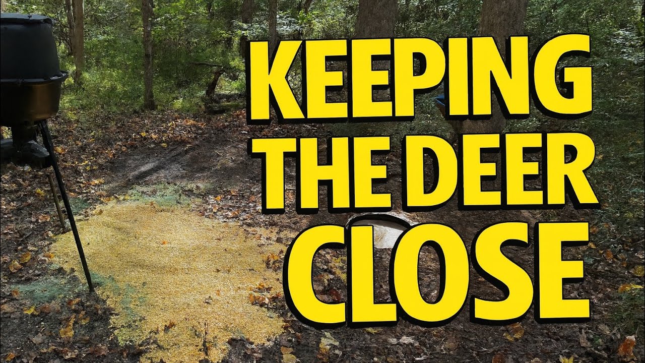 Putting in the work now to keep those big bucks close!”