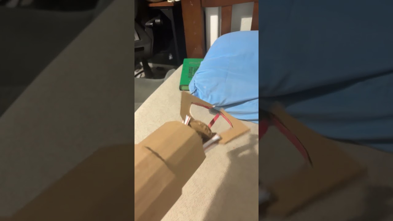 Made robot arm #cardboard