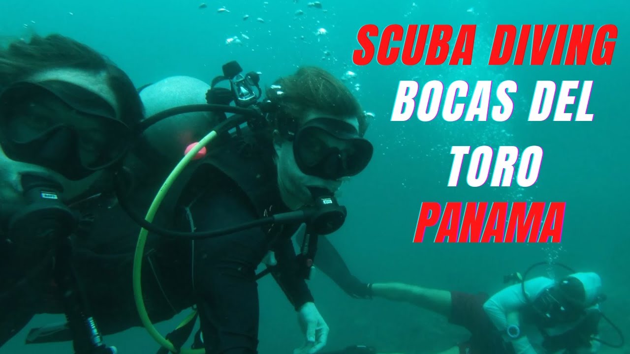 Bocas Del Toro Panama Best Scuba Diving: Panama Dive School experience!