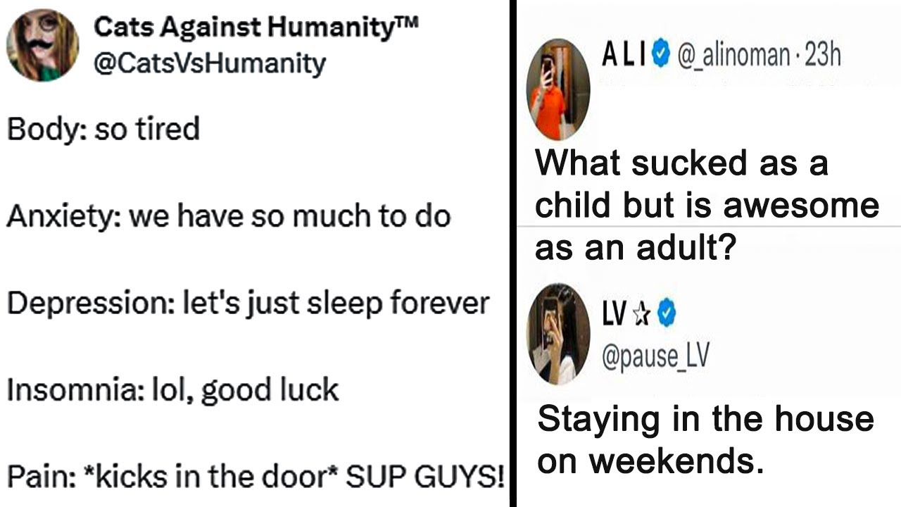 Dive into the Fun: Memes from the 'Circle Of Idiots' That'll Have You Tagging Your Friends