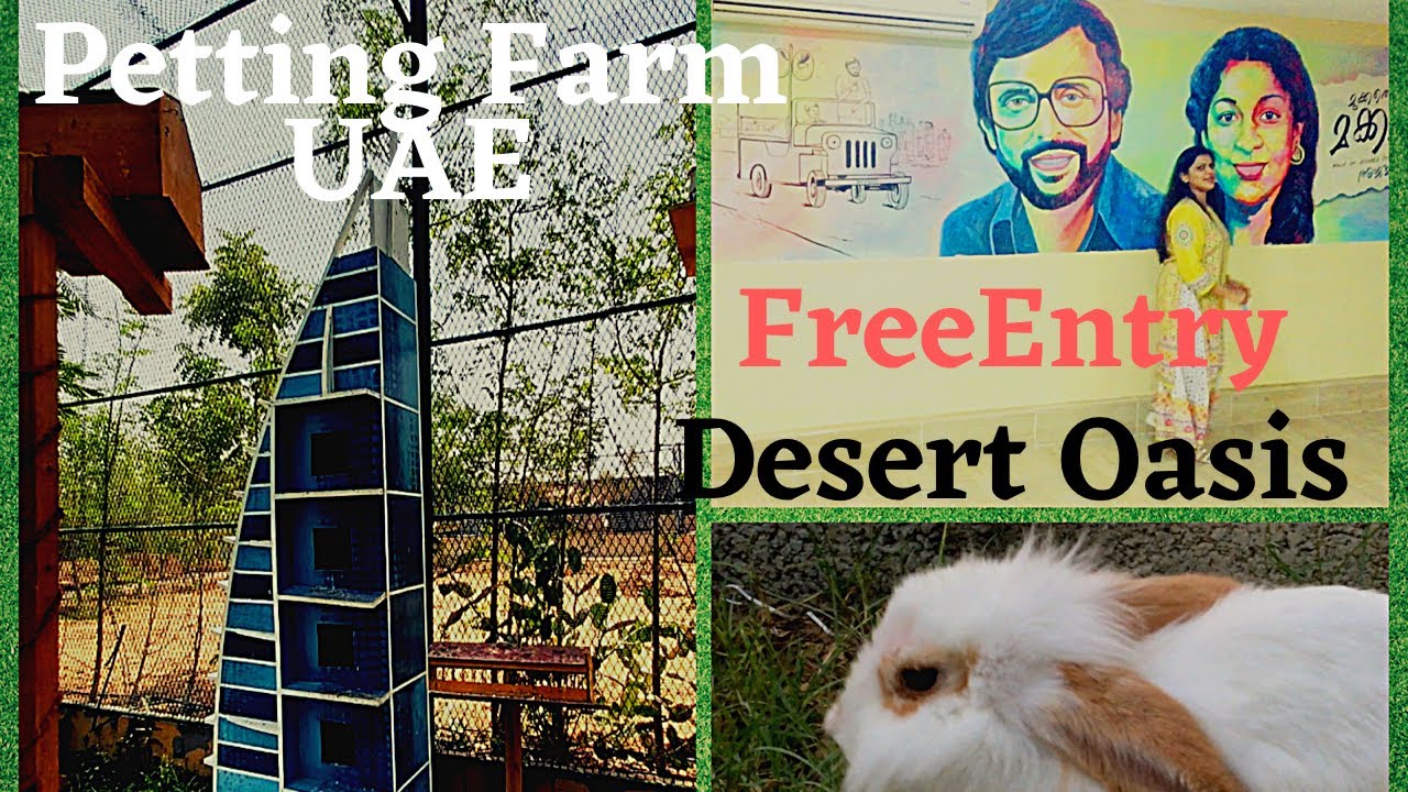 AN OASIS IN THE DESERT || CEE TEES FARM || FARM IN AJMAN UAE FARM   MUKKATHE MAKKANI || PETTING FARM