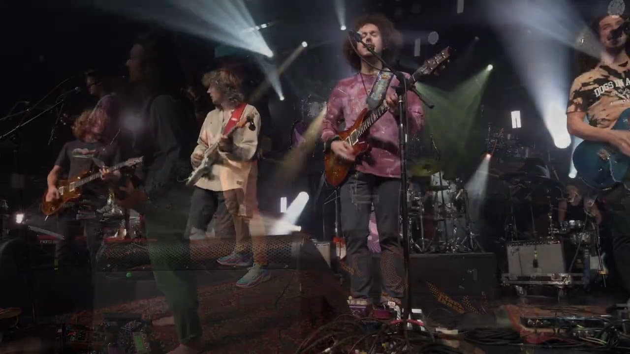 Pigeons Playing Ping Pong + Dogs In A Pile: Crosseyed and Painless (11/19/23)