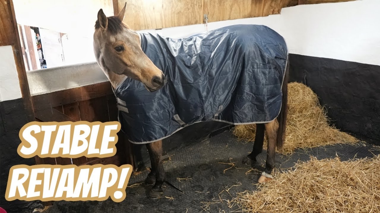 MY HORSES HAVE BEEN SPOILT | Over due stable upgrade
