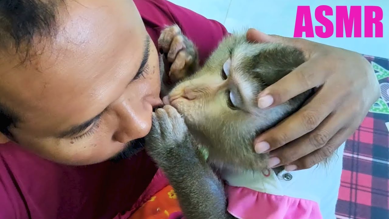I Enjoyed Grooming Faces Soften Up And Then Enjoy ASMR Really Gets Going