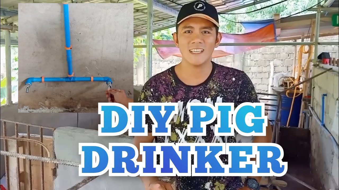 Автоматическая поилка для свиней (сделай сам) | Избавьтесь от суеты, связанной с кормлением порос...