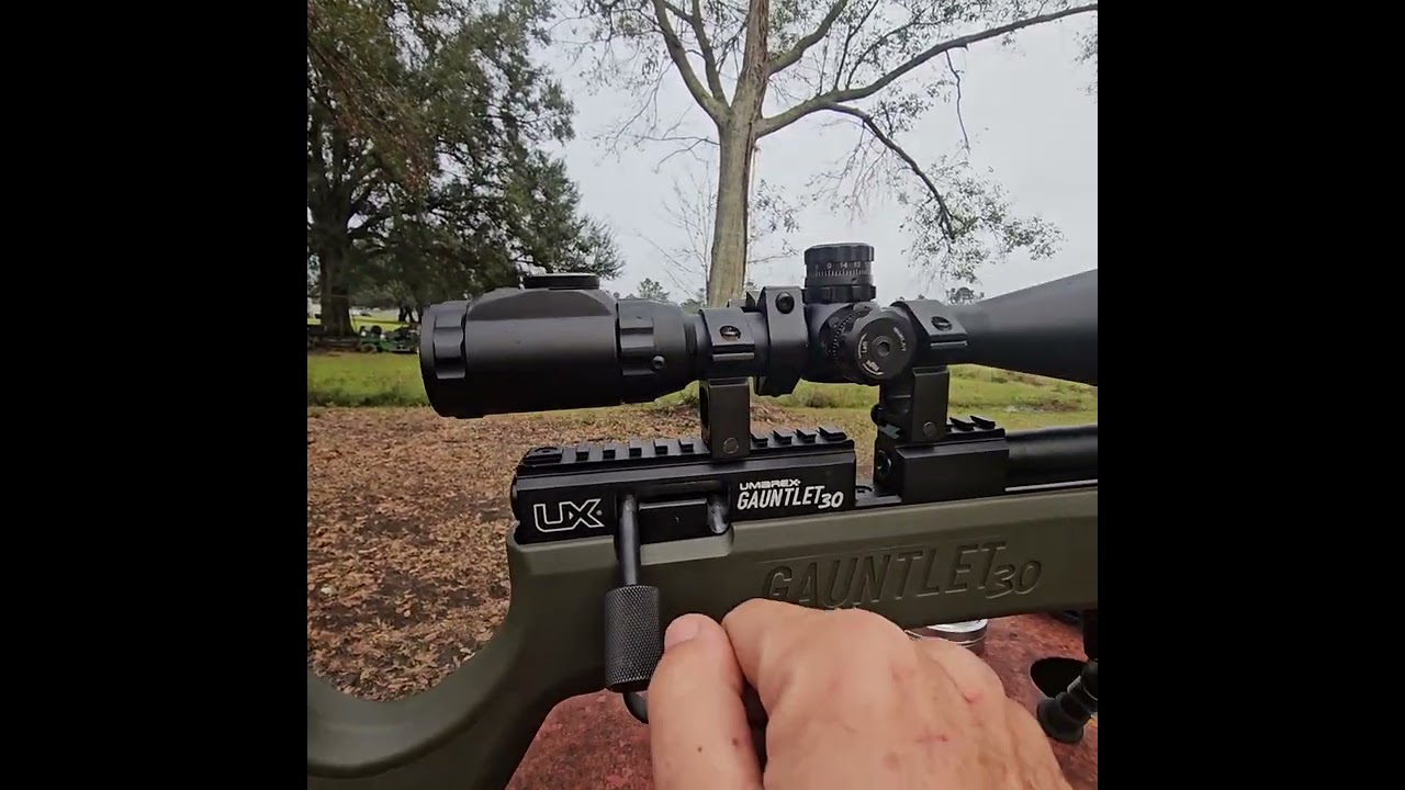 Umarex Gauntlet. 30 caliber Air rifle thoughts.