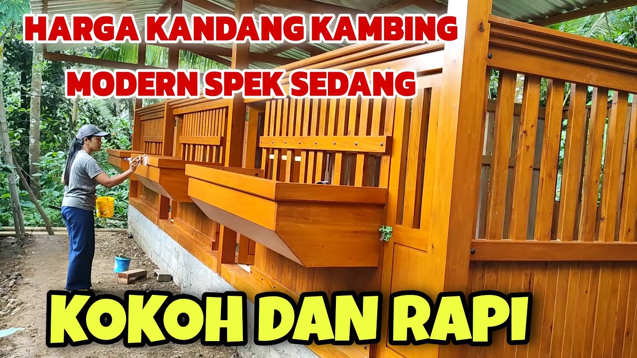 INI DIA‼️SPEK SEDANG YANG JADI DAMAN PETERNAK KAMBING, CEK HARGANYA..