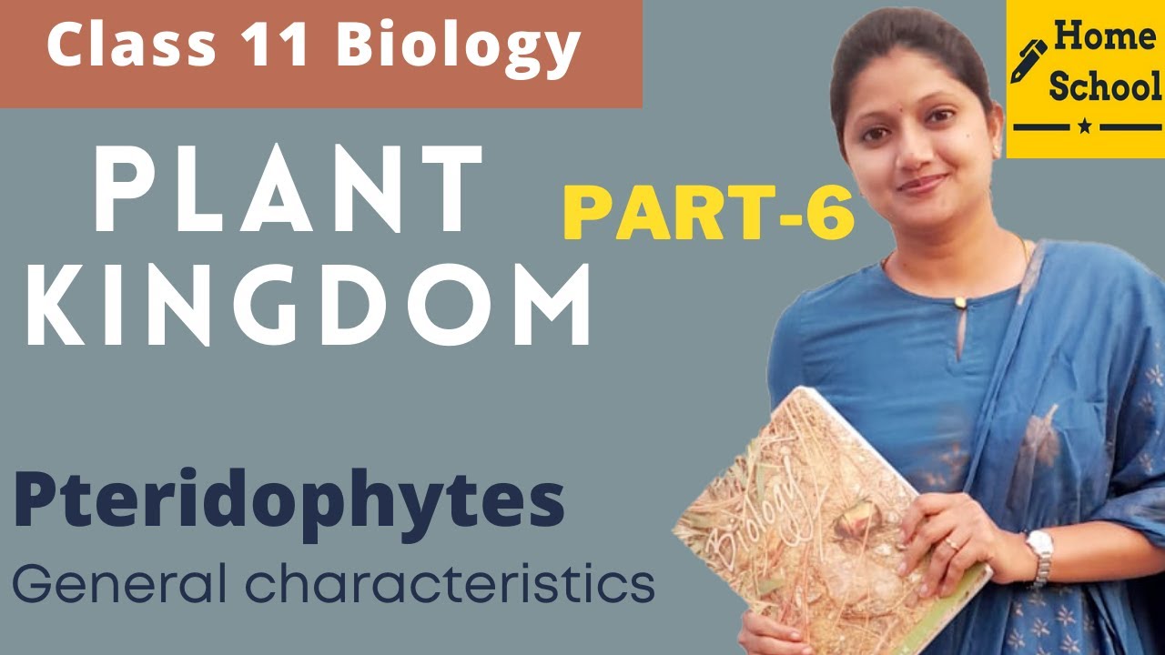 Plant Kingdom Class 11 Biology | Pteridophytes| Part-6