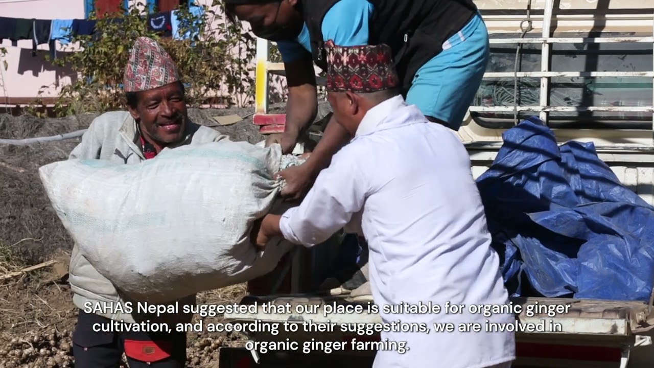 Decent Livelihood _English Subtitle