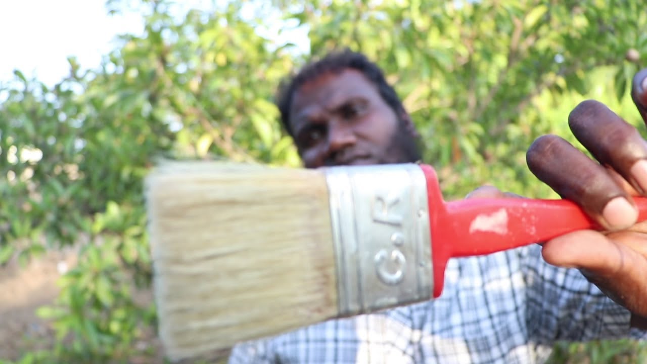 ASMR 💜 🕺CAMERA 🎥 Brushing  Amazing Sounds 🌱🌲🌳🌴🌿🍀 my backyard 😴😴😴