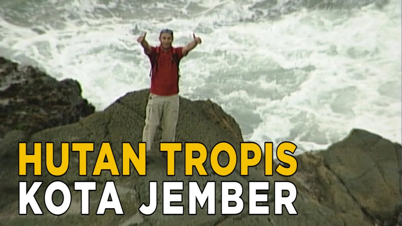 Hutan tropis tanjung papuma | JELAJAH