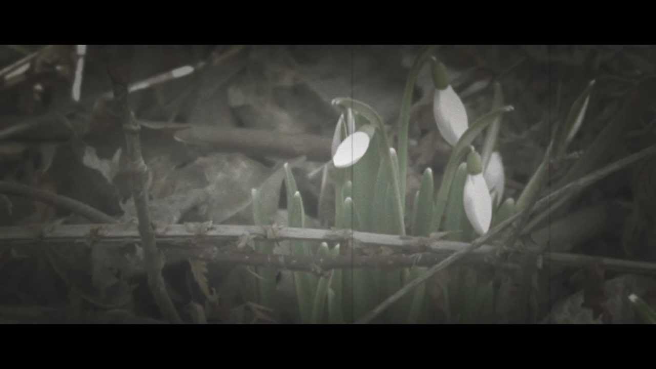 Andreas Lundgren - Where the wild fire runs