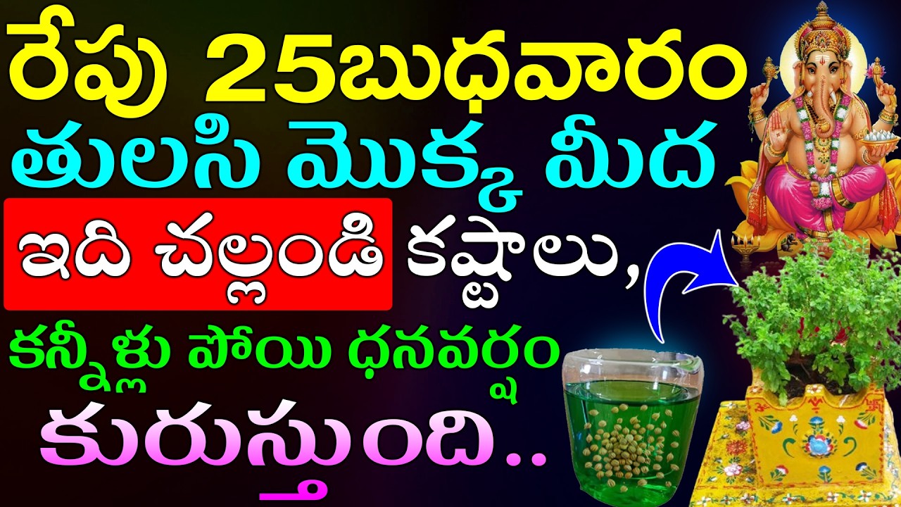 రేపు బుధవారం తులసి మొక్క మీద ఇది చల్లండి కష్టాలు,కన్నీళ్లు పోయి ధనవర్షం కురుస్తుంది
