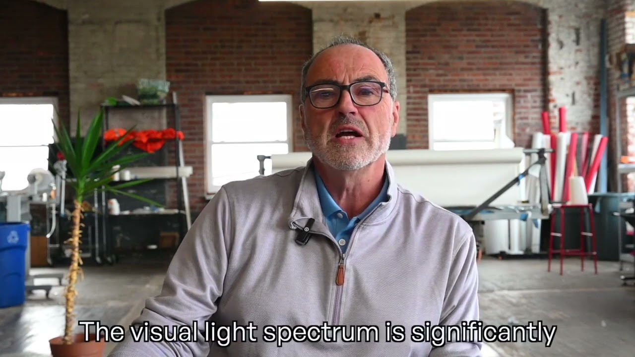 How Bird Divert Works: Protecting Birds with Innovation