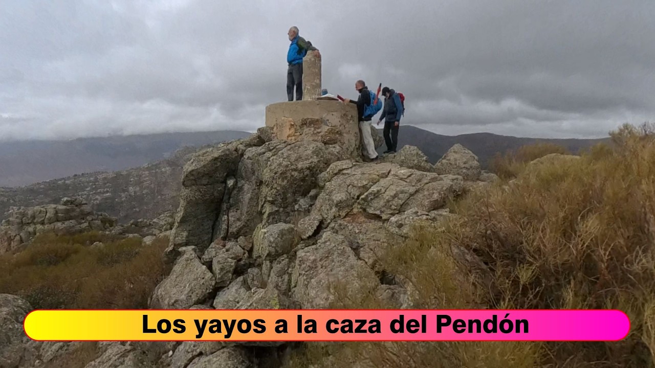 Los yayos a la caza del Pendón