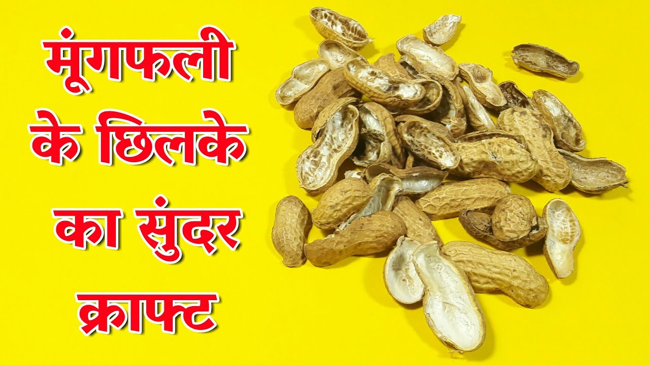 Best Out Of Waste Peanut Shell Craft | DIY Art And Craft | Peanut Shell Reuse Idea | Basic Craft