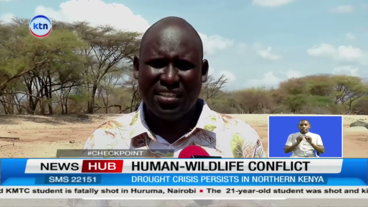 Drought fuels deadly water conflicts between humans and wildlife, Samburu