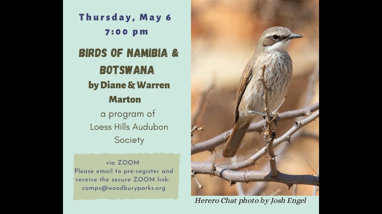 Namibia & Botswana Birding with Diane & Warren Marton 5 6 2021