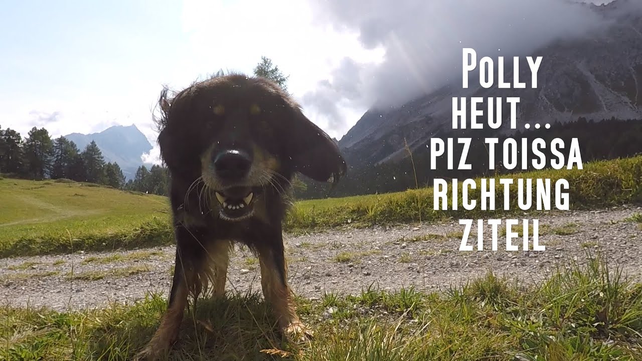 Polly heut am Piz Toissa richtung Ziteil