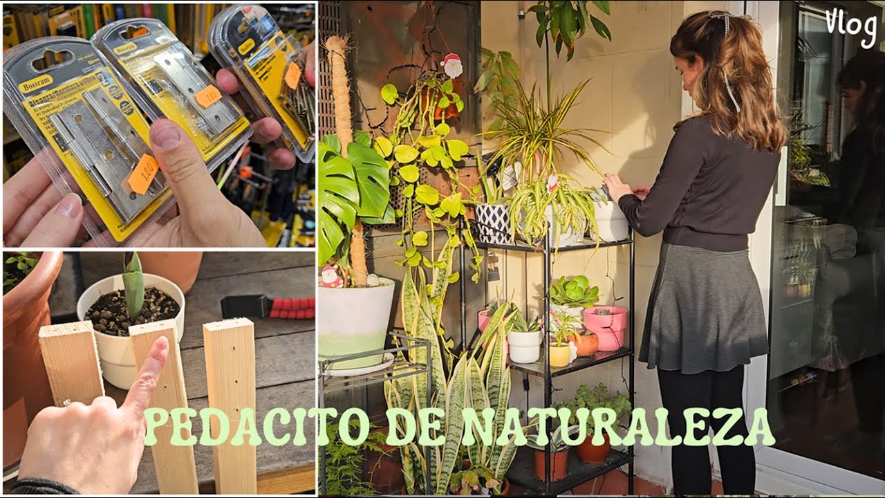 🛠🏡 INVERNADERO en la TERRAZA: NUEVO proyecto ( DÍA # 1). Desayuno fuera de casa.
