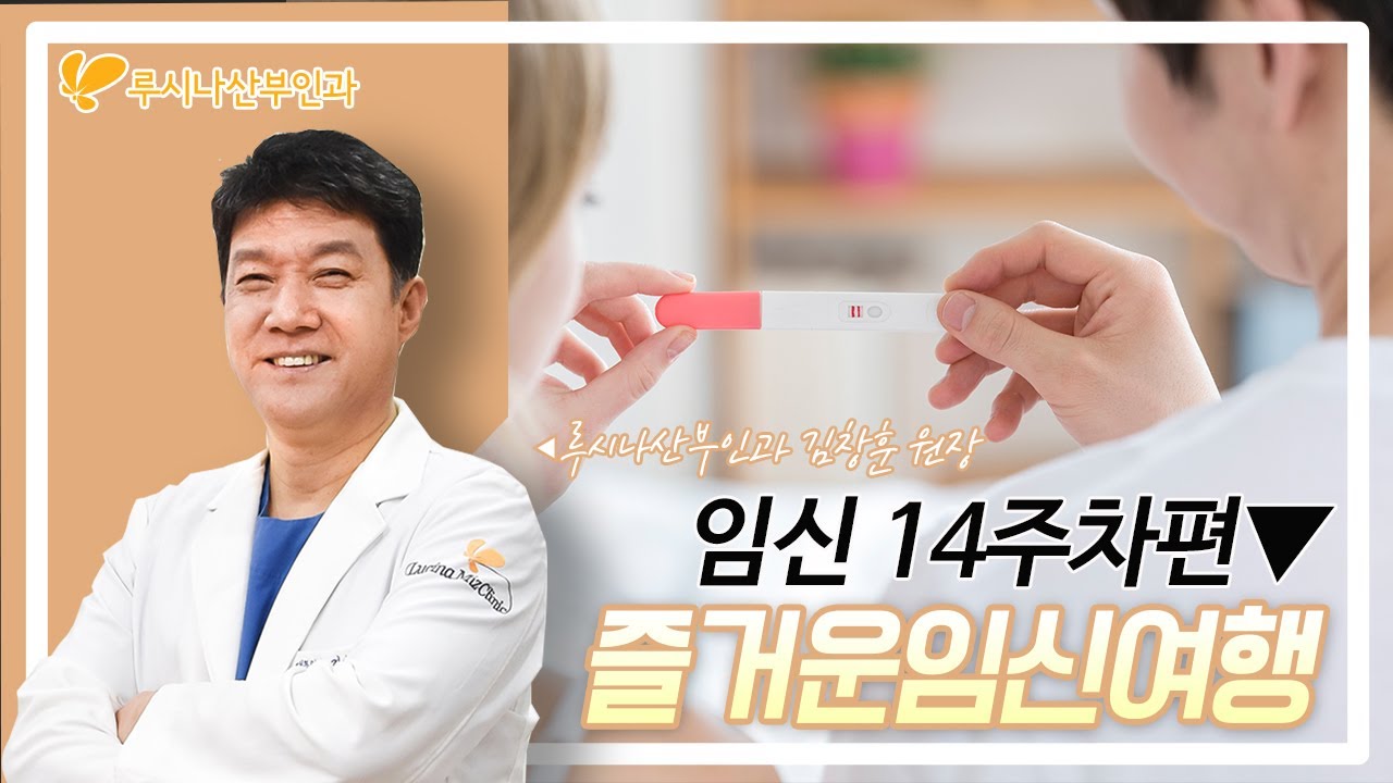 [즐거운 임신여행] 임신 14주차편