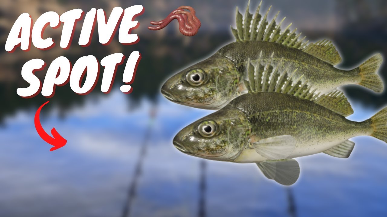 ACTIVE RUFFE SPOT IN KUORI LAKE! #388 Russian fishing 4