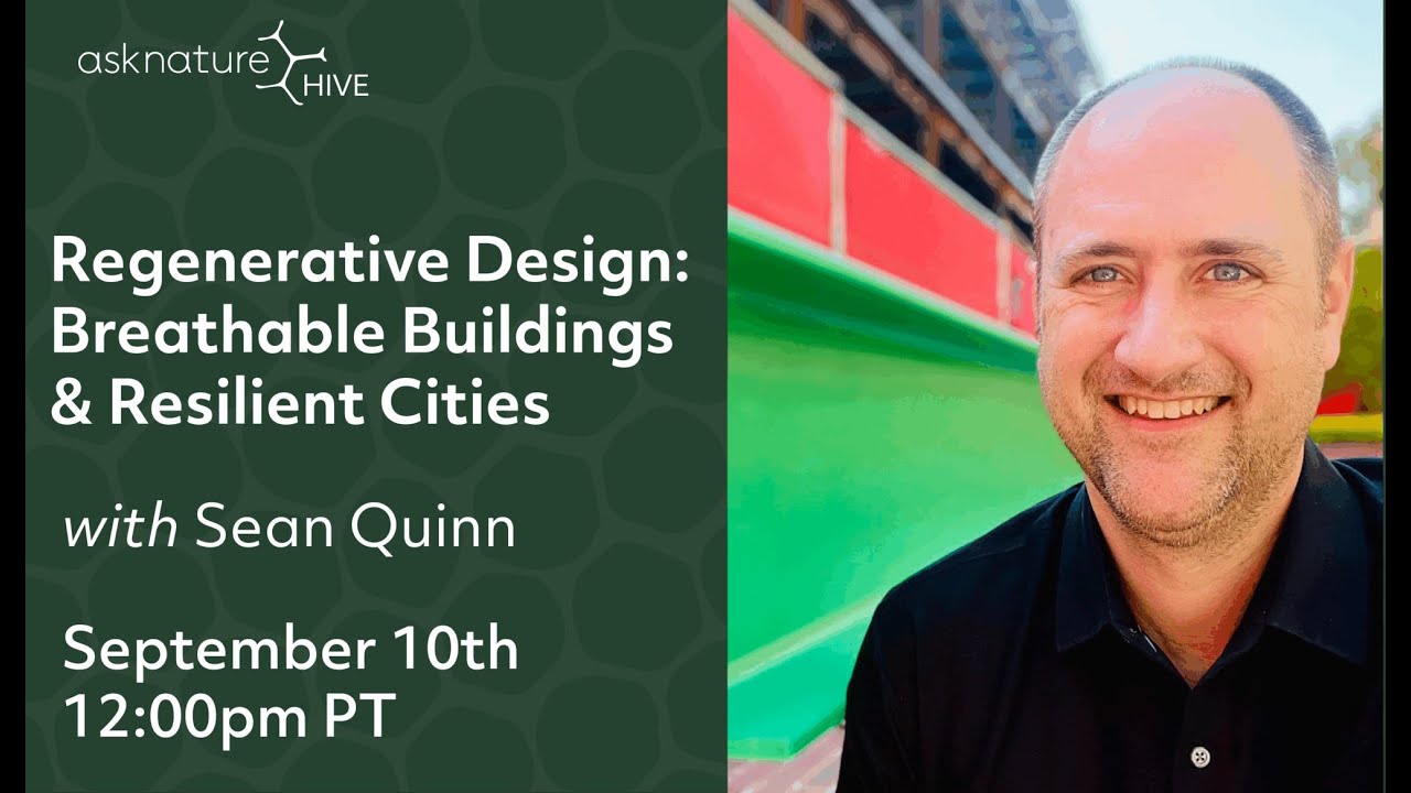 AskNature Hive Live Conversation - Regenerative Design with Sean Quinn