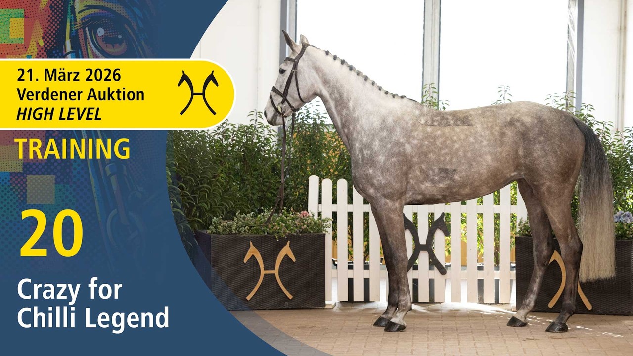 No.  20 Crazy for Chilli Legend by Carl der Größere | High Level Auction - OnLive - March, 21th