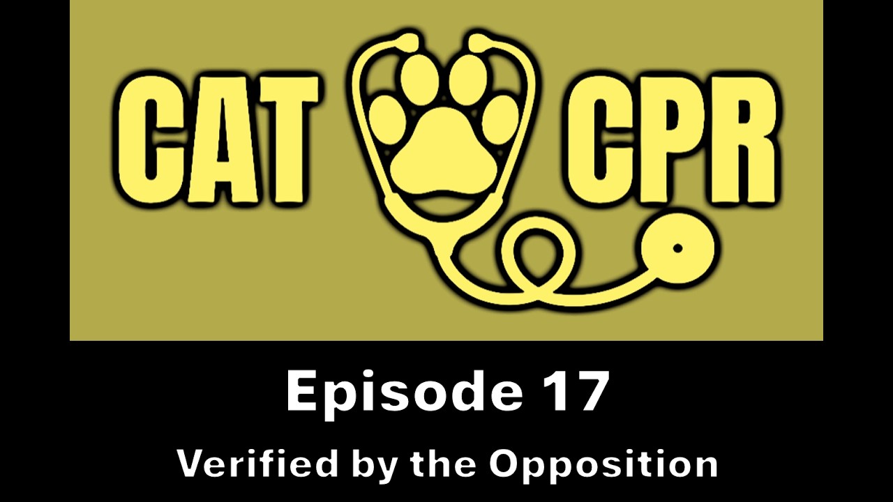 Episode 17: Verified by the Opposition