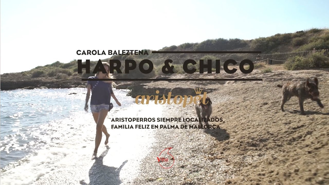 HARPO, CHICO&CAROLA BALEZTENA | VPET DE VODAFONE