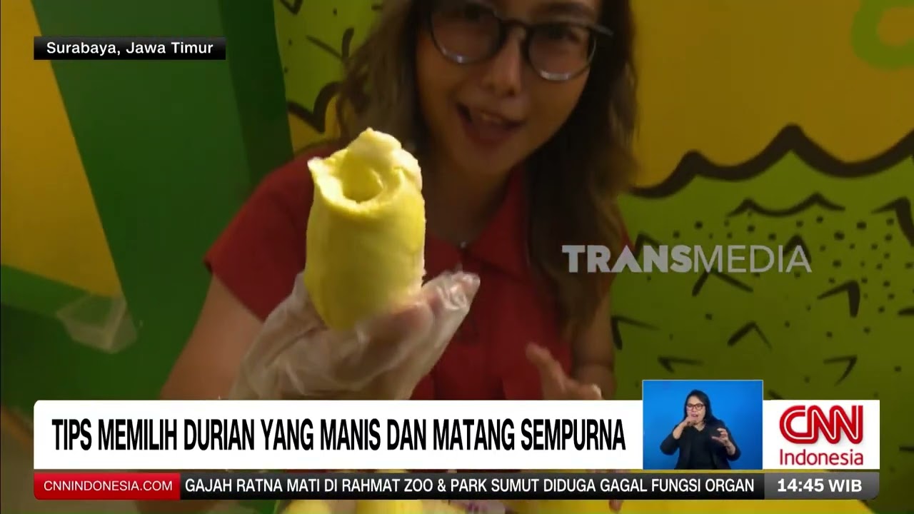 Tips Memilih Durian Yang Manis Dan Matang Sempurna | REDAKSI (12/02/26)